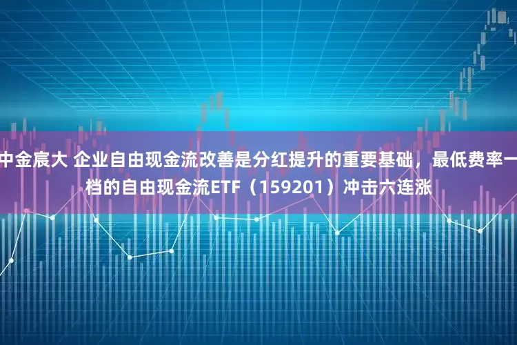 中金宸大 企业自由现金流改善是分红提升的重要基础，最低费率一档的自由现金流ETF（159201）冲击六连涨
