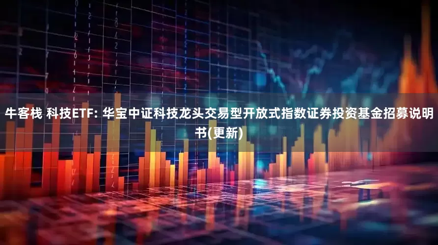 牛客栈 科技ETF: 华宝中证科技龙头交易型开放式指数证券投资基金招募说明书(更新)