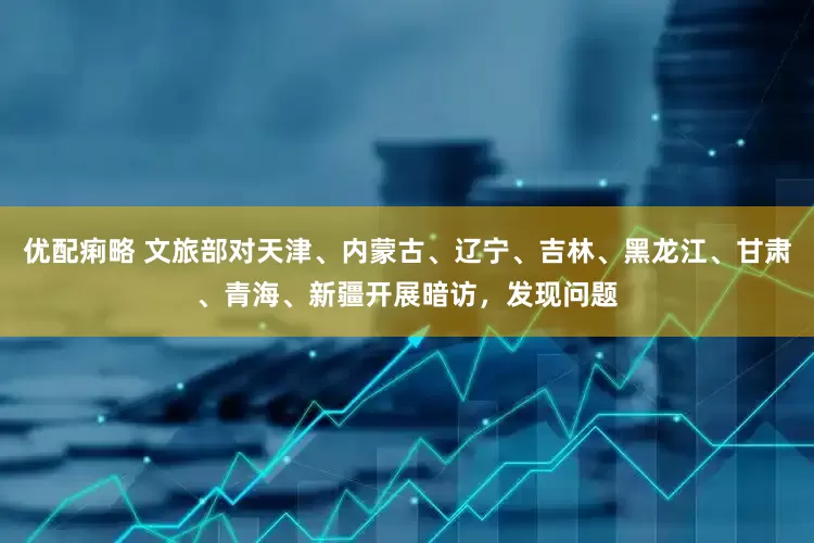 优配痢略 文旅部对天津、内蒙古、辽宁、吉林、黑龙江、甘肃、青海、新疆开展暗访，发现问题