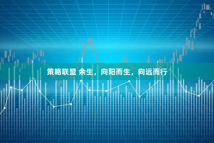 策略联盟 余生，向阳而生，向远而行