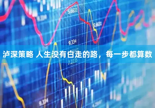 泸深策略 人生没有白走的路，每一步都算数