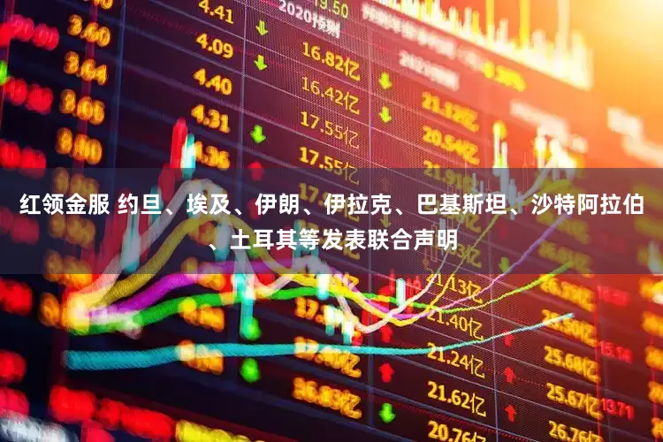 红领金服 约旦、埃及、伊朗、伊拉克、巴基斯坦、沙特阿拉伯、土耳其等发表联合声明