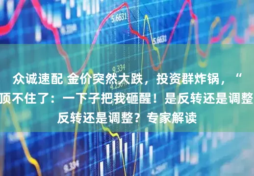 众诚速配 金价突然大跌，投资群炸锅，“死多头”也顶不住了：一下子把我砸醒！是反转还是调整？专家解读